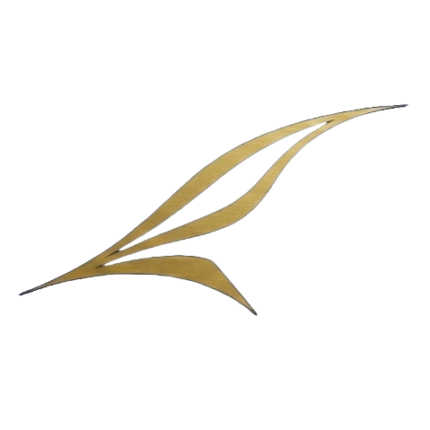 Etihad Virtual Logo